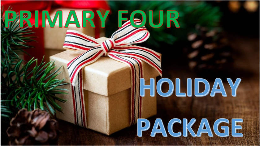 PRIMARY FOUR HOLIDAY PACKAGE