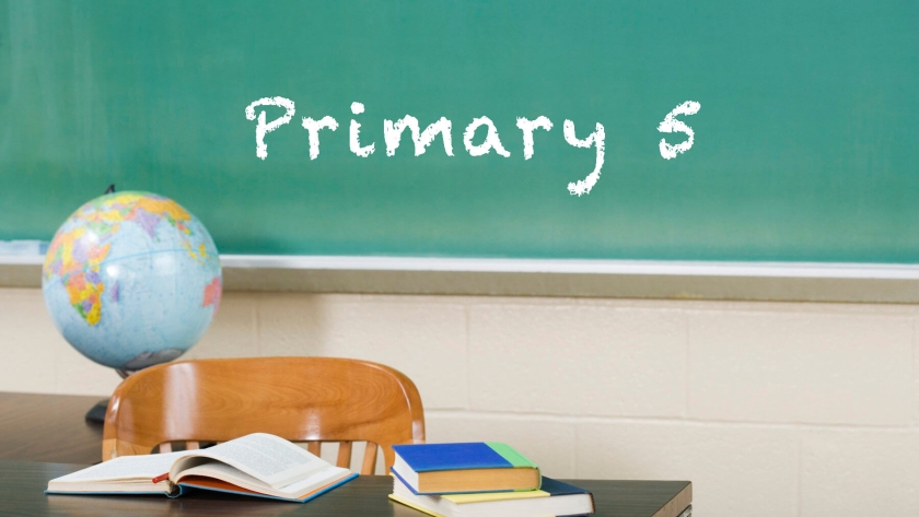 PRIMARY FIVE HOLIDAY PACKAGE