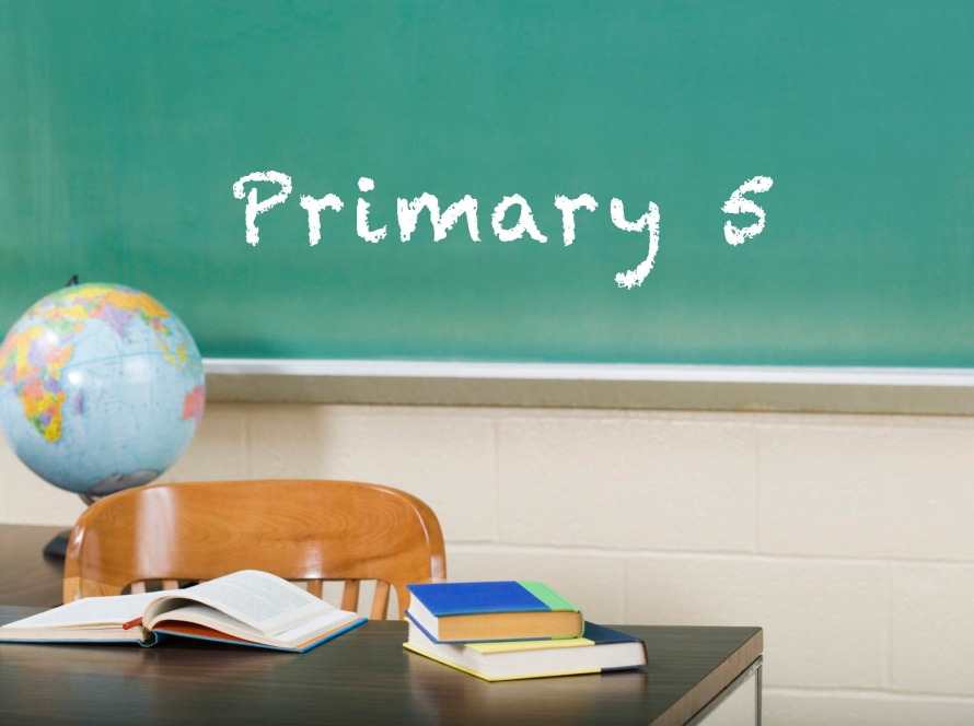 PRIMARY FIVE HOLIDAY PACKAGE
