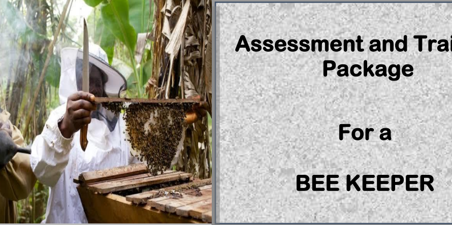DIT - ASSESSMENT AND TRAINING PACKAGE FOR A BEE KEEPER