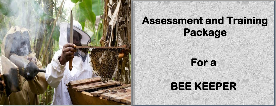 DIT - ASSESSMENT AND TRAINING PACKAGE FOR A BEE KEEPER