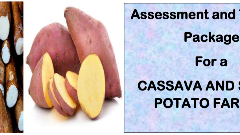 DIT-ASSESSMENT AND TRAINING PACKAGE FOR A CASSAVA AND SWEET POTATO FARMER