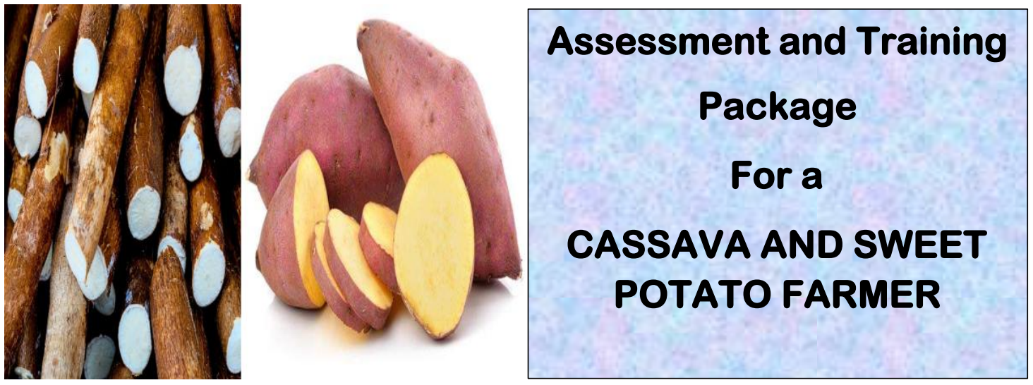 DIT-ASSESSMENT AND TRAINING PACKAGE FOR A CASSAVA AND SWEET POTATO FARMER