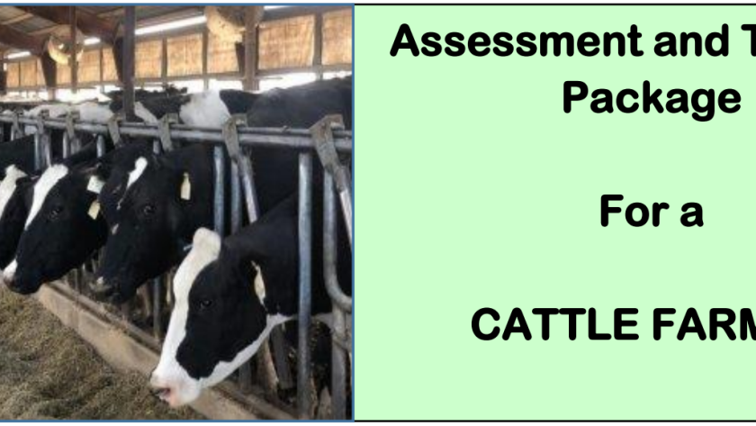 DIT-ASSESSMENT AND TRAINING PACKAGE FOR A CATTLE FARMER