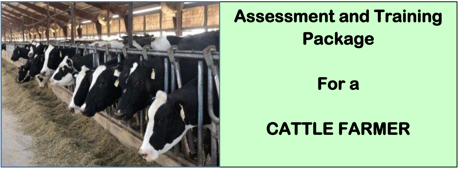 DIT-ASSESSMENT AND TRAINING PACKAGE FOR A CATTLE FARMER