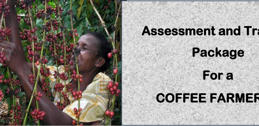 DIT - ASSESSMENT AND TRAINING PACKAGE FOR A COFFEE FARMER