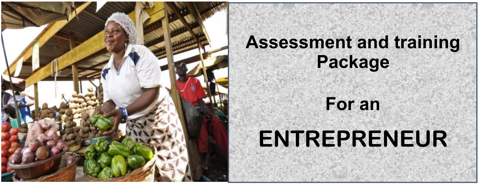DIT-ASSESSMENT AND TRAINING PACKAGE FOR AN ENTREPRENEUR