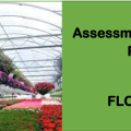 DIT – ASSESSMENT AND TRAINING PACKAGE FOR A FLORICULTURIST