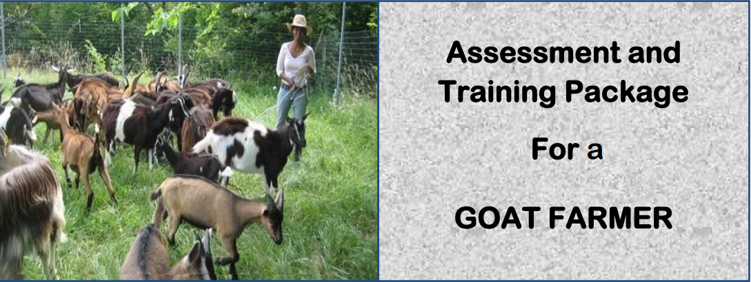 DIT - ASSESSMENT AND TRAINING PACKAGE FOR A GOAT FARMER
