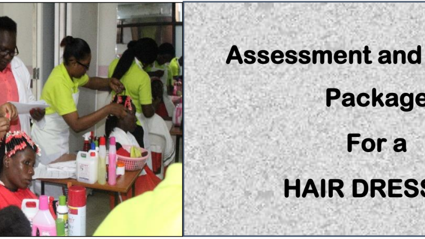 DIT-ASSESSMENT AND TRAINING PACKAGE FOR A HAIR-DRESSER