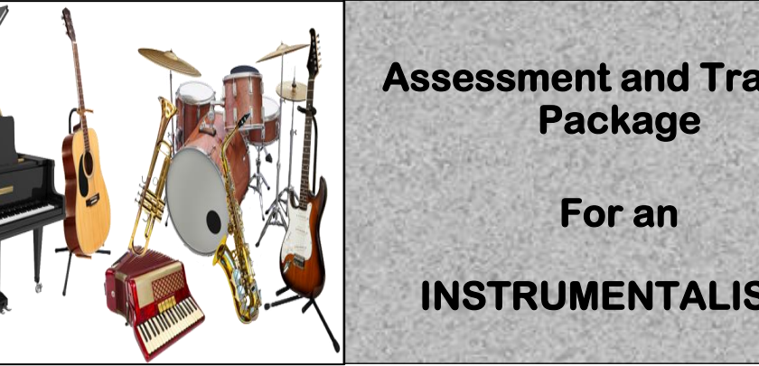 DIT - ASSESSMENT AND TRAINING PACKAGE FOR AN INSTRUMENTALIST