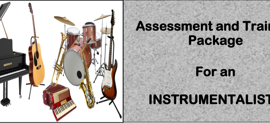 DIT - ASSESSMENT AND TRAINING PACKAGE FOR AN INSTRUMENTALIST