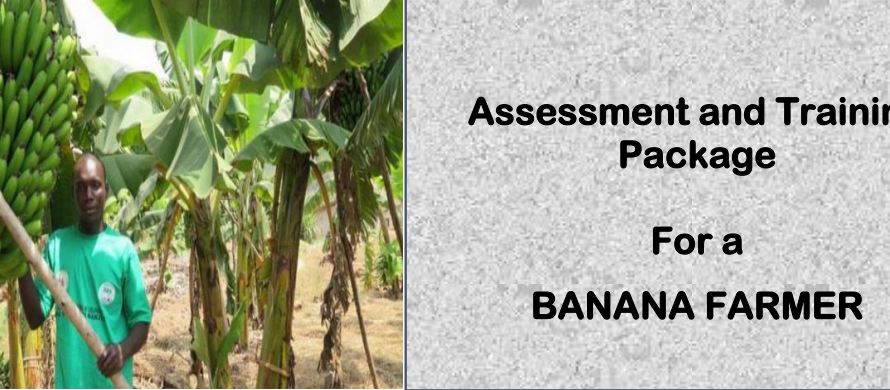 DIT - ASSESSMENT AND TRAINING PACKAGE FOR A BANANA FARMER