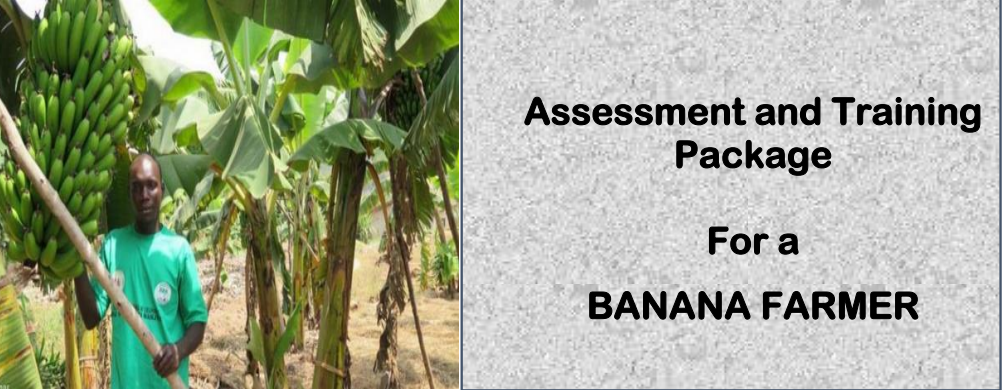 DIT - ASSESSMENT AND TRAINING PACKAGE FOR A BANANA FARMER