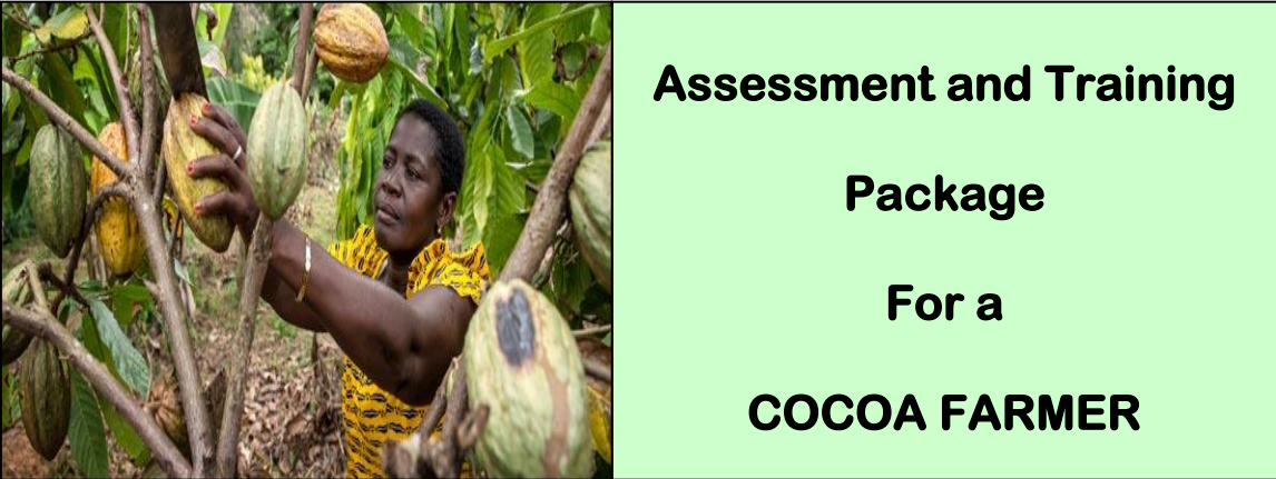 DIT - ASSESSMENT AND TRAINING PACKAGE FOR A COCOA FARMER